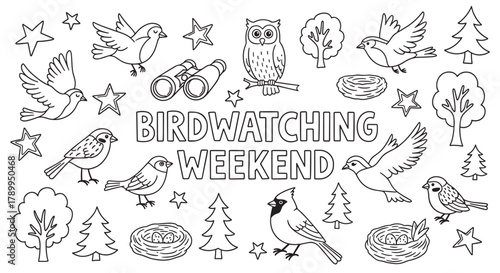 Outline birdwatching weekend activity set. Includes various birds, nests, trees, and binoculars for nature exploration. Perfect for children's coloring books or educational materials
