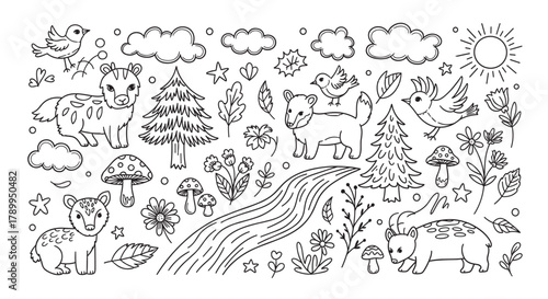 Cute forest animals and woodland nature elements in a doodle style. Hand drawn black and white outline collection for coloring pages or kids design with bear, wolf and deer