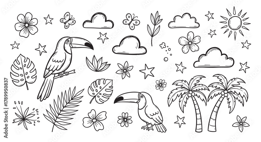 Naklejka premium Hand drawn tropical summer elements collection. Includes toucans, palm trees, leaves, and flowers. Perfect for vacation, travel, and jungle themed designs