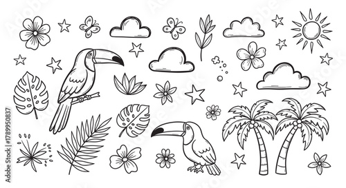 Hand drawn tropical summer elements collection. Includes toucans, palm trees, leaves, and flowers. Perfect for vacation, travel, and jungle themed designs