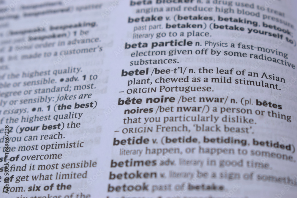 Fototapeta premium English Definition Dictionary Page Close Up Of Printed Word Of --betel
