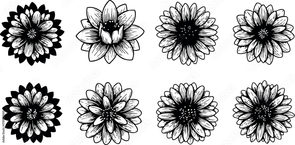 Obraz premium Black and white hand drawn decorative flower collection with detailed petals and stamen elements for design use vector set
