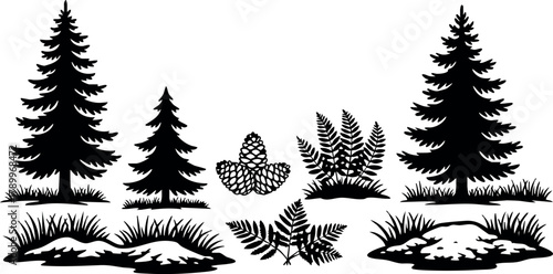 Pine tree and fern vector silhouettes with pine cones and grass patches illustration for nature design and decoration