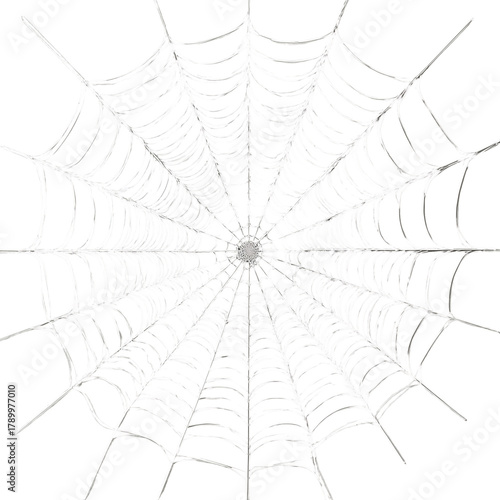 Spider web with a refined, elegant design isolated on transparent White background png