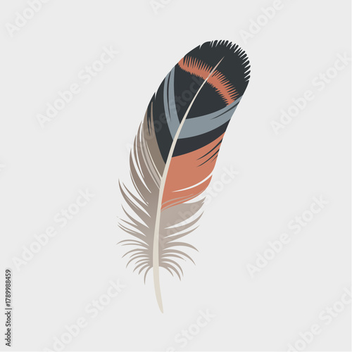 A beautifully illustrated single feather with intricate patterns and vibrant colors.