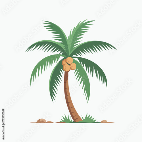Cartoon style illustration of a tropical coconut palm tree with green fronds and ripe coconuts.