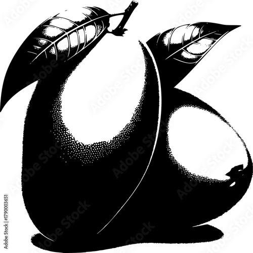 Abstract Mango Silhouette: A stylized monochrome image featuring a bold outline of a mango, embellished with intricate leaf details, creating a striking contrast and showcasing the fruit's form