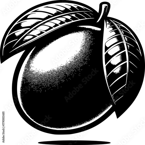 Mango Delight: A monochrome depiction of a ripe, luscious mango, complete with detailed leaves, evokes the refreshing taste of tropical fruit