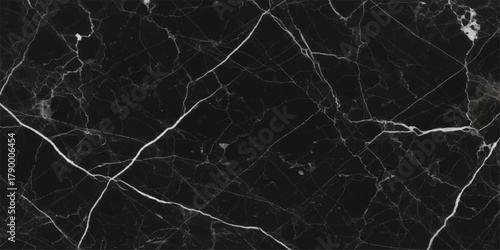 Seamless macro natural tree bark texture pattern, old grunge black and white surface backdrop design