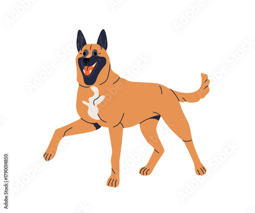 Belgian Malinois dog breed. Smart trained canine pedigree, standing with paw raised. Skilled working shepherd pet, happy doggy with tongue out. Flat vector illustration isolated on white background