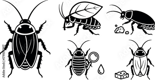 Cockroach vector set with different poses and food items in black silhouette style for pest control and insect design