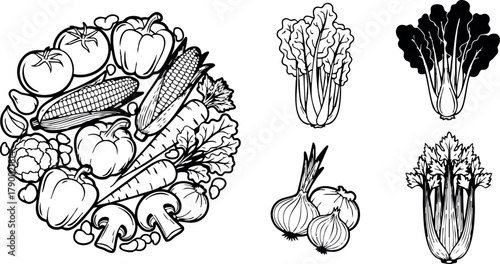 Fresh vegetables assortment with corn, carrots, mushrooms, onions, and leafy greens in black and white vector illustration