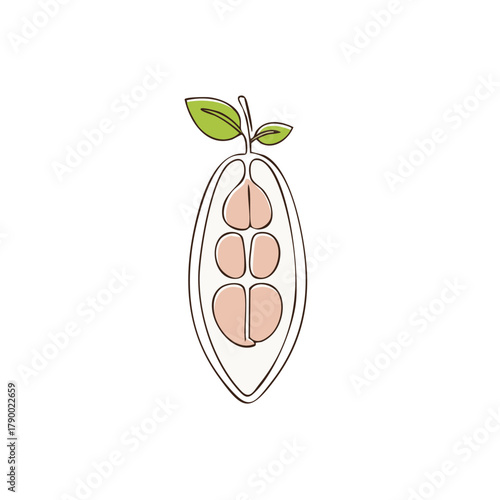 Minimalist continuous line art illustration of a cocoa pod cross section revealing raw cacao beans and green leaves