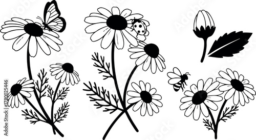 Chamomile flowers with butterfly and ladybug black and white line art vector design for nature and herbal themes