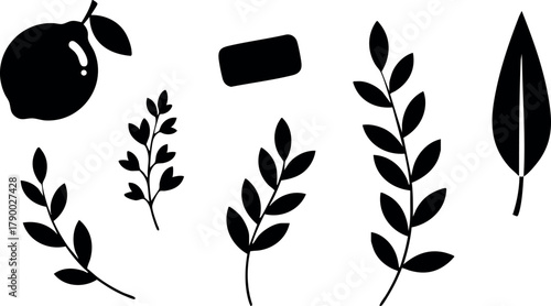 Black silhouette vector set of various leaves with fruit and bar shape simple nature elements