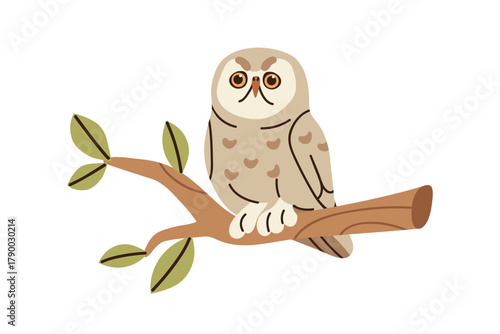 Owl sitting on tree branch. Wise bird, forest night fauna, wild nature. Feathered animal perching, clinging on twig. Predator birdie. Flat vector illustration isolated on white background