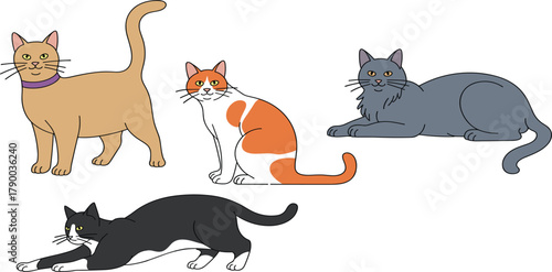 Collection of Four Domestic Cats in Various Poses and Colors, Representing Feline Pets, Different Breeds, and Home Companion Animals