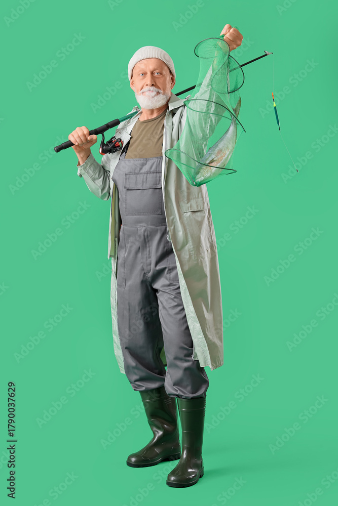 Obraz premium Senior man with fishing rod and caught fish in keepnet on green background