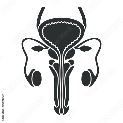 male reproductive organ. logo flat design, bladder icon, simple hand drawn organ vector illustration, flat design element. Illustration design for, logo, symbol, icon, and emblem.	