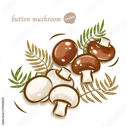 かわいいホワイトマッシュルームとブラウンマッシュルーム｜キノコのボップアート｜ベクターイラスト素材