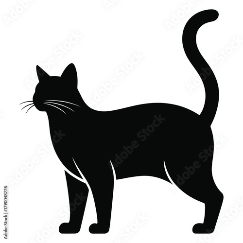 Black silhouette of a standing cat with raised tail Keywords: cat, feline, animal, pet, domestic