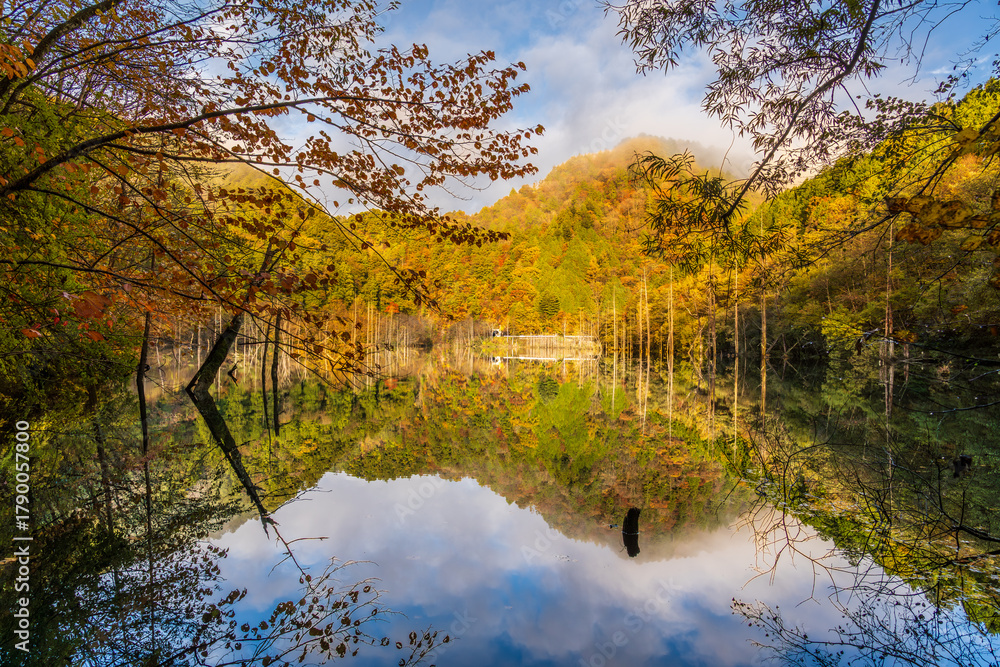 Obraz premium 夜明け前の自然湖の水面に映る紅葉