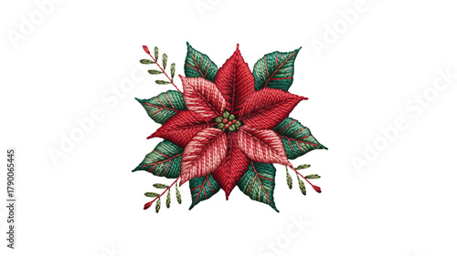 Poinsettia flower on black background