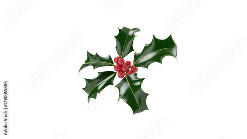 Christmas Holly Berry Plant Decoration