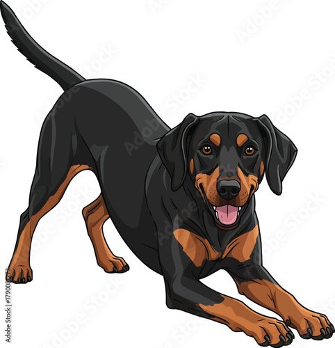 Gonczy Polski dog playful play bow pose vector illustration