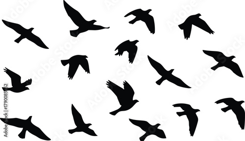 Illustration of silhouette of birds flying in formation, representing freedom, migration, and natures beauty
