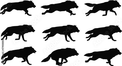 Illustration of silhouette of a wolf in various poses, creating a dynamic and visually engaging composition