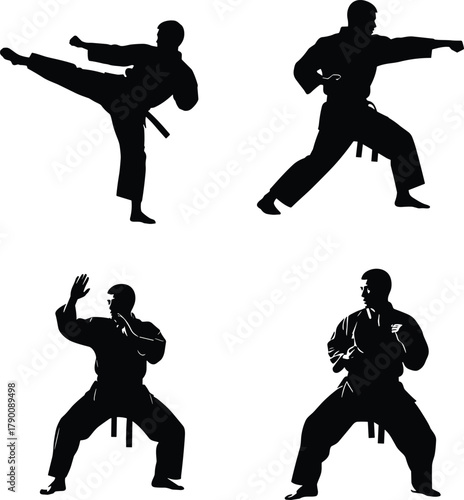 Illustration of silhouette of martial artists in various stances karate fighters demonstrating different techniques and poses