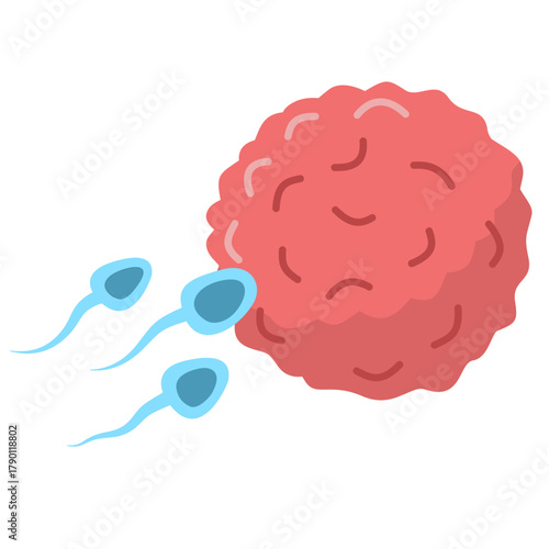 Active Sperm Cells Swim to the Egg