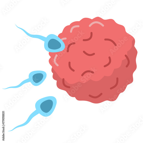 Active Sperm Cells Swim to the Egg