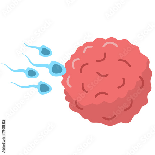 Active Sperm Cells Swim to the Egg