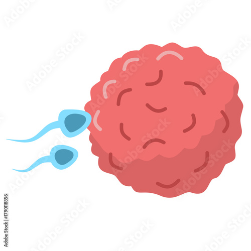 Active Sperm Cells Swim to the Egg