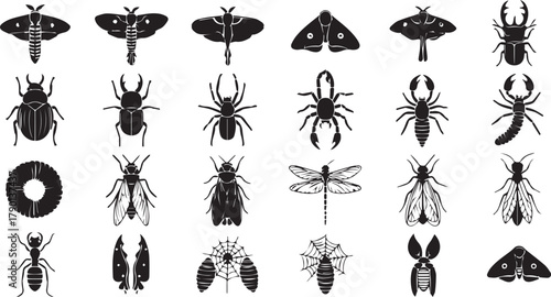 Intricate Insect Variety A Diverse Collection of Black and White Bug Illustrations