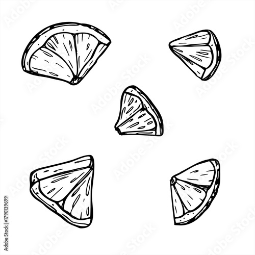 Citrus slices set vector isolated illustration painted by black inks. Monochrome lemon, orange or lime fruit cross section clipart. Aromatic food ingredients for beverage decor, cocktail part, poster