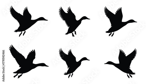 A collection of black duck silhouettes in various flying positions on a white background. Perfect for wildlife designs, nature illustrations