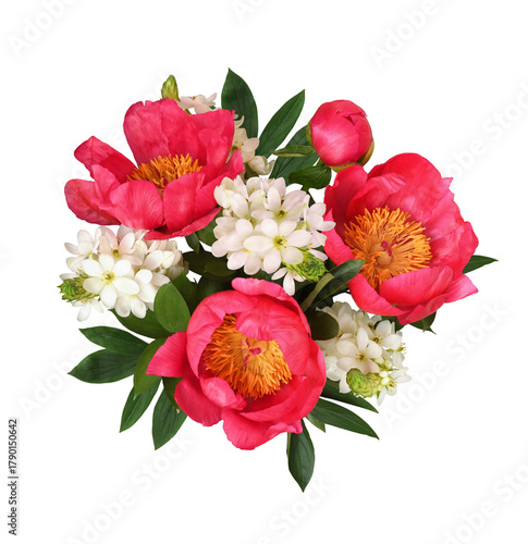 Coral peonies and white ornithogalum flowers in a small bouquet isolated on white or transparent background. Top view.
