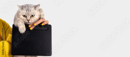 Cat with Digital Drawing Tablet