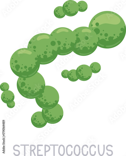 Streptococcus bacteria cells illustrating microscopic chain formation