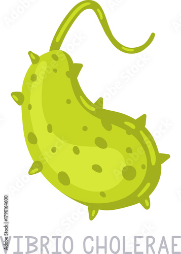 Vibrio cholerae bacterium concept causing infectious disease