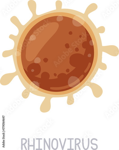 Rhinovirus particle concept representing common cold infection