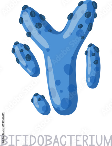 Blue Bifidobacterium microorganism promoting digestive health illustration