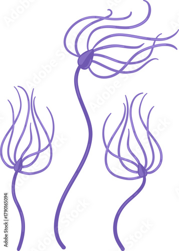 Purple abstract plant tendrils growing and flowing