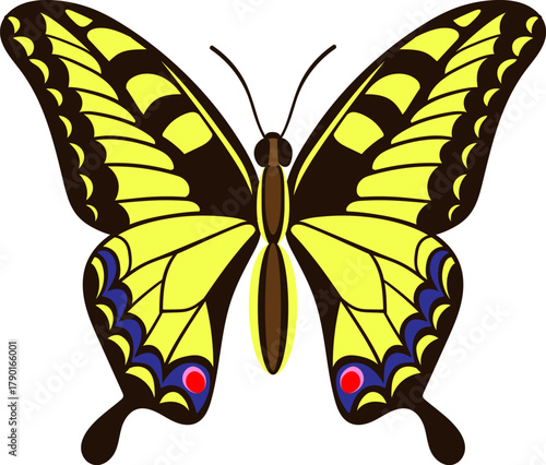 Yellow butterfly insect flying spreading wings
