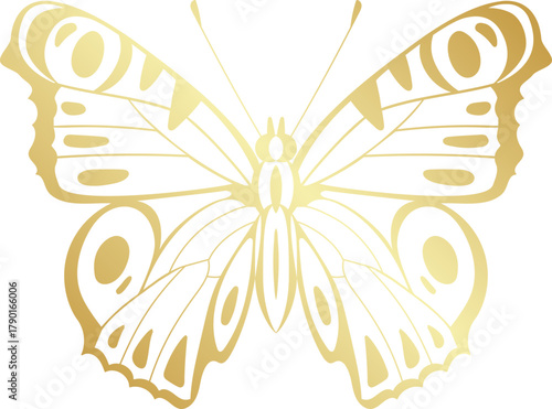 Golden butterfly illustration creating elegance and luxury design