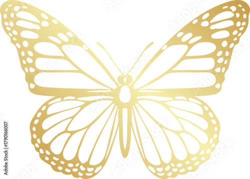 Golden butterfly vector art design representing luxury and beauty