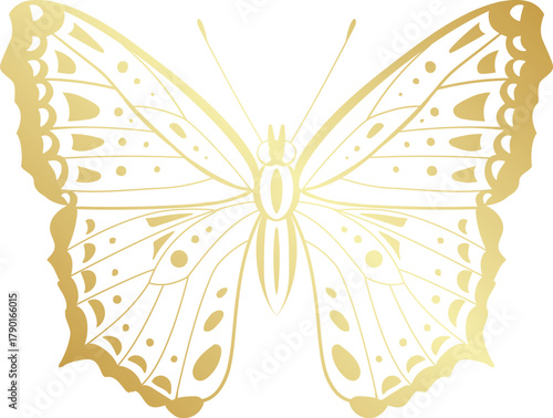 Golden butterfly illustration representing beauty and elegance
